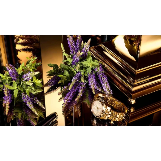 دولتشي اند غابانا ذا ون جولد انتنس عطر للرجال 50 مل عطر فاخر للمساء - دولتشي اند غابانا - Image 4