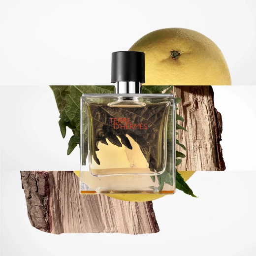 عطر هيرمس تيري دي هيرمس للرجال 75 مل: عطر خشبي حار يدوم طويلاً - هيرميس - Image 3