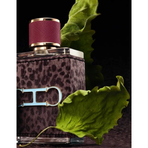 Carolina Herrera CH Men Wild Love Eau de Parfum 100ml Cologne for Men Seductive Fragrance - Carolina Herrera - Image 3