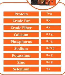 Petrapet Dry Cat Food for Adults 1Kg, Complete, nutritious formula with balanced proteins, vitamins, and minerals. Supports energy, growth, digestion, and a shiny coat. - Petrapet - Image 3