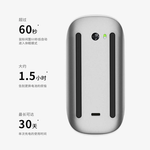 WiWU WM103 Magic Mouse Bluetooth USB-C Rechargeable Silver/Grey for Laptop/PC - Wiwu - Image 2