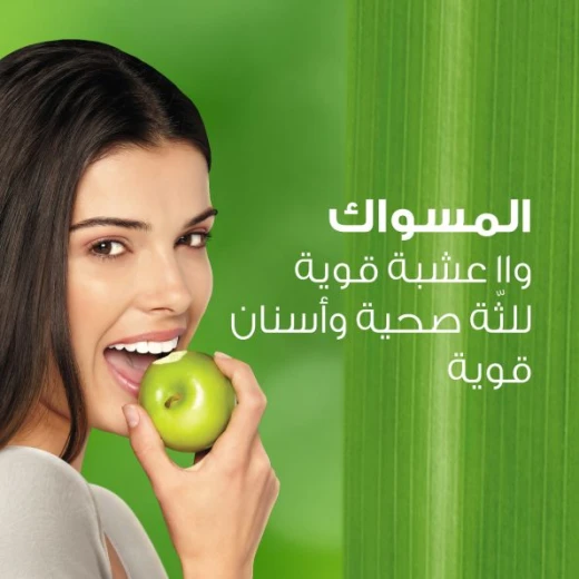 معجون أسنان هيمالايا المضاد للتسوس بالأعشاب 125 جم، خالٍ من الفلورايد، النيم والرمان للعناية بالفم - هيمالايا - Image 2