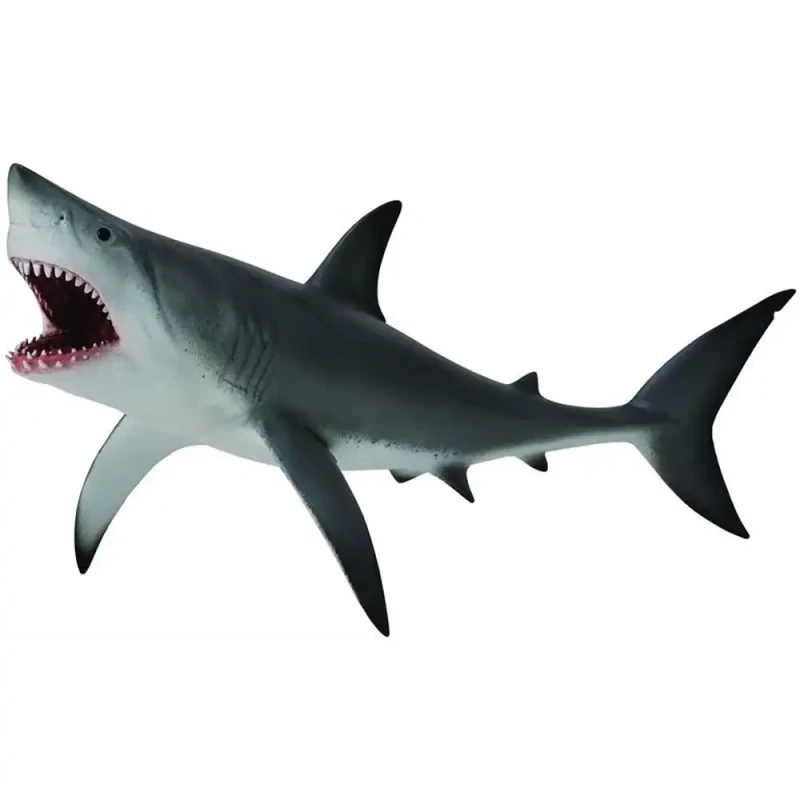 CollectA Realistic Great White Shark Toy Figure with Open Mouth, Detailed Design, 20.4cm Length, Perfect for Educational Play and Collectors of Marine Life, Ages 3+ - CollectA