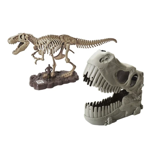 Dino Valley T Rex Dinosaur Skeleton Model Kit for Boys, 22 Pieces - Image 2