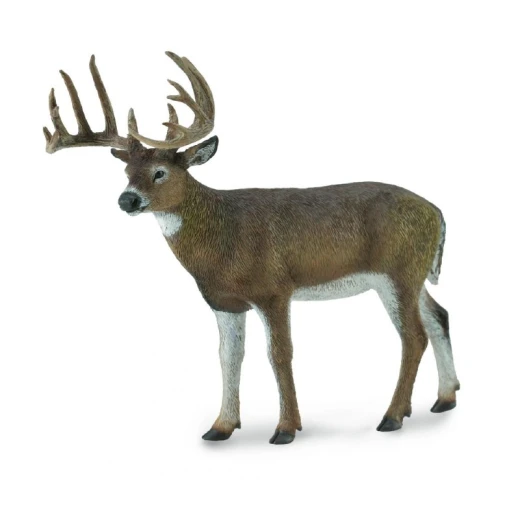 CollectA White Tailed Deer Realistic Toy Figure 4 Inch Educational Animal Model CollectA White Tailed Deer Realistic Toy Figure 4 Inch Educational Animal Model