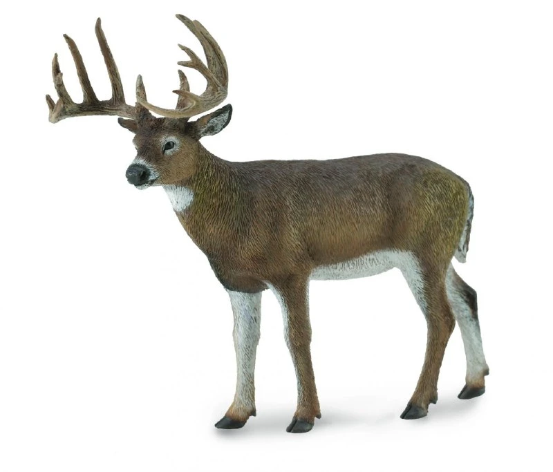 CollectA White Tailed Deer Realistic Toy Figure 4 Inch Educational Animal Model - CollectA