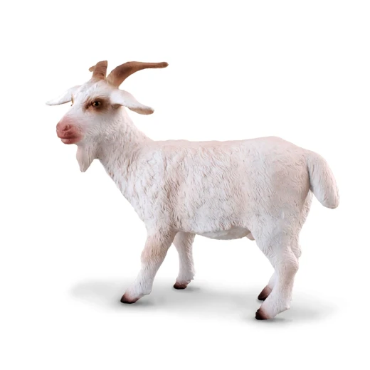 Collecta Realistic Billy Goat Animal Figure Detailed 6.5cm Miniature Model for Play and Display High Quality PVC Construction Great Gift Idea for Children Ages 3+ Collecta Realistic Billy Goat Animal Figure Detailed 6.5cm Miniature Model for Play and Display High Quality PVC Construction Great Gift Idea for Children Ages 3+