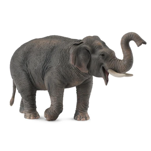 CollectA Asian Elephant Figurine Realistic Educational Toy for Kids 1:20 Scale Model 200g Detailed Replica for Collectors and Learning 15cm Tall Durable Construction