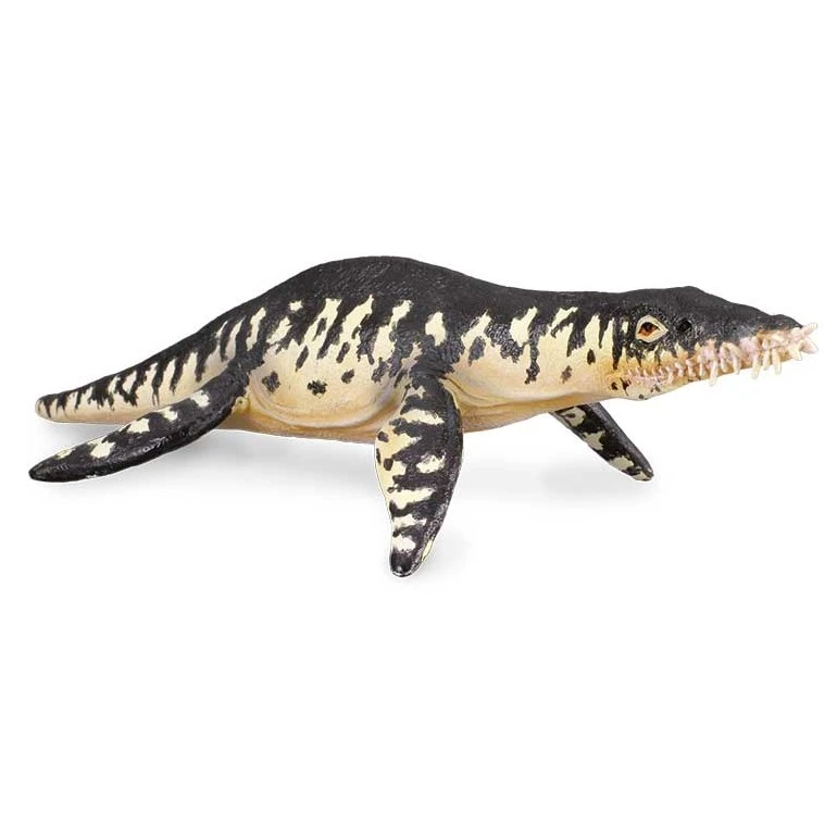 Collecta Liopleurodon Dinosaur Figurine Multicolor 3 Year Olds