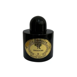 عطر إيفولا إي إيه في تريجر للنساء 100 مل ذهبي يدوم طويلاً عطر فاخر بخاخ او دي بارفان رائحة أنيقة للاستخدام اليومي والمناسبات الخاصة