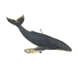 Collecta Humpback Whale Realistic Plastic Sea Life Model 21.2cm