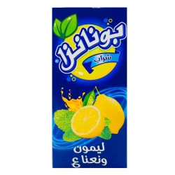 Bonanza Refreshing Lemon and Mint Juice with Added Vitamin C, 1 Liter Bottle for Ultimate Hydration and Invigorating Taste, Perfect for Everyday Enjoyment
