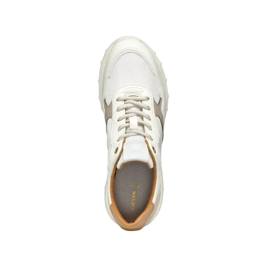 ALLENIEE Woman's Low Cut Sneakers Off White, Sporty and Versatile Design, Breathable Fabric, Leather Effect Material, Casual Everyday Shoes Size 40 - Geox - Image 8