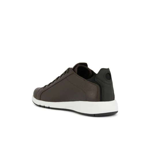 Geox Aerantis Man Low Cut Sneakers Coffee Color Soft Tumbled Leather Tennis Court Design Breathable Comfort Casual City Outfits Size 41 U357FA.00046.C6076 - Geox - Image 13