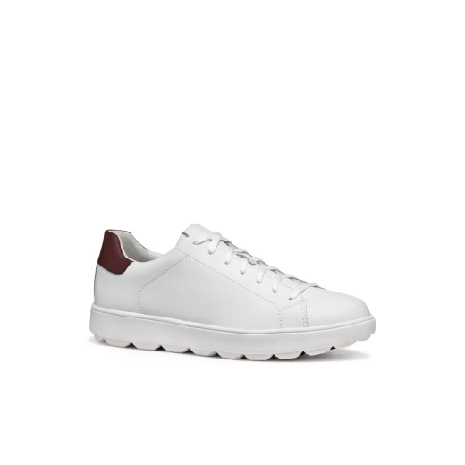 Geox Spherica ECUB-1 Men's Sneakers White 40 EU Coated Leather Breathable Cushioned Lightweight Everyday Casual Stylish Modern Active Chic Design Comfort Walk 1 Pair - Geox - Image 12
