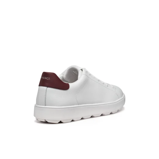 Geox Spherica ECUB-1 Men's Sneakers White 42 Featuring Breathable Coated Leather Construction Delivering Exceptional Cushioning and Comfort for Everyday Wear - Geox - Image 13