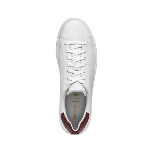 Geox Spherica ECUB-1 Men's Sneakers White 40 EU Coated Leather Breathable Cushioned Lightweight Everyday Casual Stylish Modern Active Chic Design Comfort Walk 1 Pair - Geox - Image 4