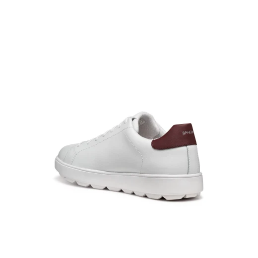 Geox Spherica ECUB-1 Men's Sneakers White 40 EU Coated Leather Breathable Cushioned Lightweight Everyday Casual Stylish Modern Active Chic Design Comfort Walk 1 Pair - Geox - Image 8