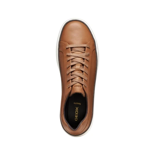 Zackerty Man Cognac Brown Leather Sneakers for Men Casual Style EU Size 40 Breathable and Comfortable Low Cut Design City Wear Fashionable Footwear U46HPA.00039.C6001 - Geox - Image 9