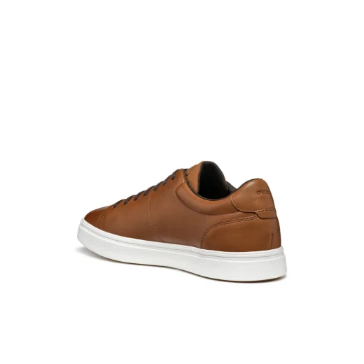 Baltmoore Men's Cognac Leather Sneakers with Superior Comfort and Breathability, Low Cut Design, EU Size 40, Perfect for City Looks - Geox - Image 3
