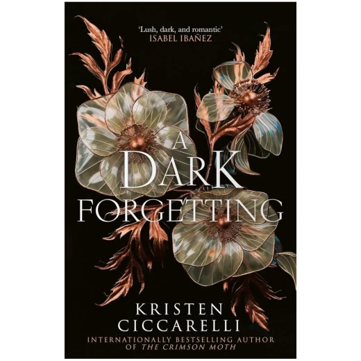 Dark Forgetting Novel Hardcover Book: Mystery, Thriller with Suspenseful Plot Twists, 1st Edition - Image 2