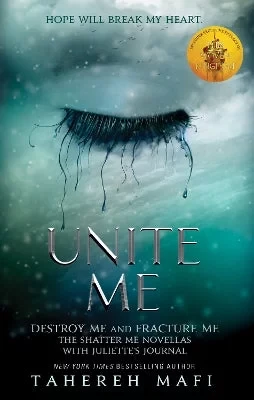 Companion Book: Unite Me Delves Deeper Into the Interconnected Stories, Characters, and Events of the Main Series, Offering Enhanced Context and Emotional Depth Companion Book: Unite Me Delves Deeper Into the Interconnected Stories, Characters, and Events of the Main Series, Offering Enhanced Context and Emotional Depth