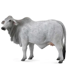CollectA Brahman Cow Figurine Realistic Animal Model for Kids, Collectors, 3+ Years