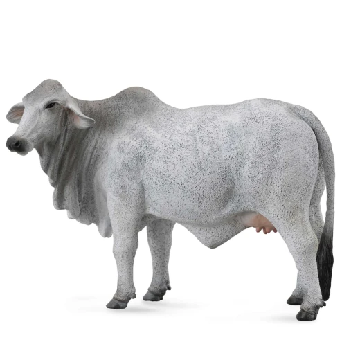 CollectA Brahman Cow Figurine Realistic Animal Model for Kids, Collectors, 3+ Years CollectA Brahman Cow Figurine Realistic Animal Model for Kids, Collectors, 3+ Years