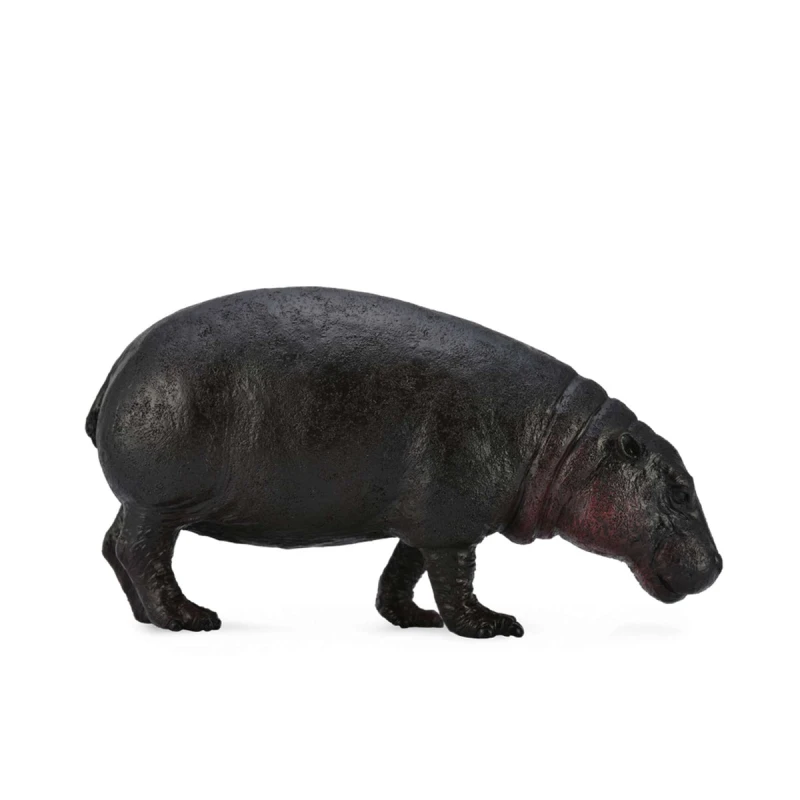 CollectA Pygmy Hippopotamus Toy Figure Realistic Animal Model for Kids 3+ Years - CollectA