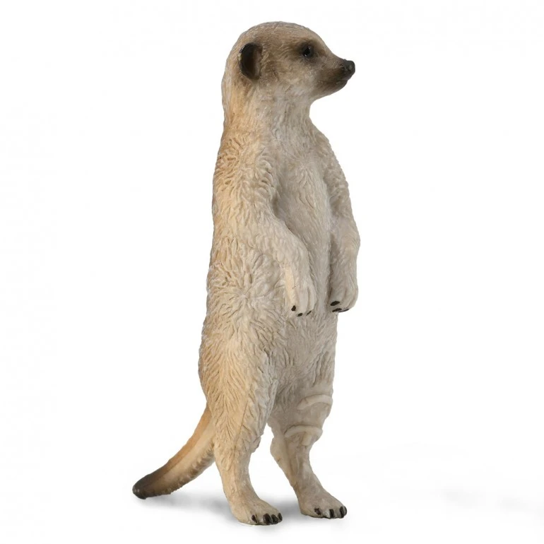 CollectA Meerkat Figure Realistic Standing Pose Wildlife Toy for Kids - CollectA