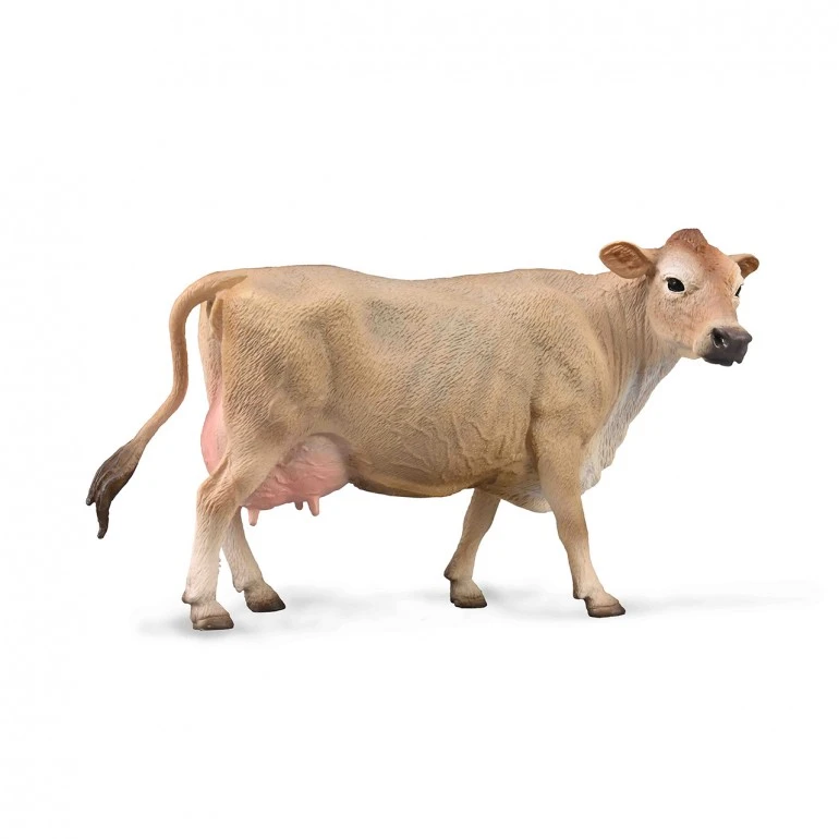 Collecta Jersey Cow Realistic Animal Figure for Kids, Detailed Hand-Painted Model - CollectA