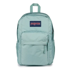JanSport Big Day Pack Medium Backpack Faded Sage Unisex
