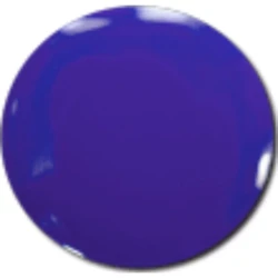 Savina Classic Nail Polish in Blueberries Shade for Elegant Glossy Finish and Even Coverage