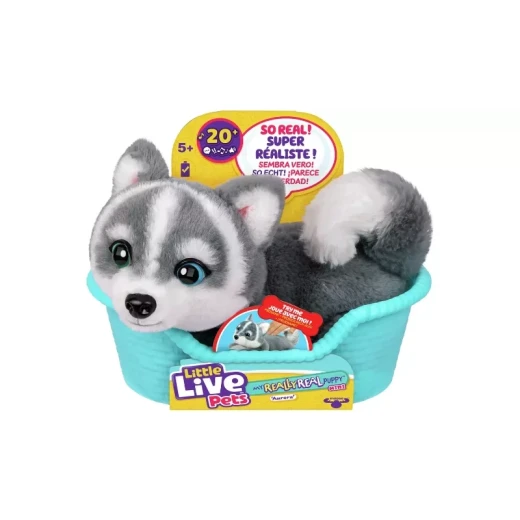 Little Live Pets My Really Real Puppy Mini – Aurora, an interactive and realistic puppy toy featuring adorable movements and sounds, designed to inspire imaginative play and a fun pet-care experience for kids Little Live Pets My Really Real Puppy Mini – Aurora, an interactive and realistic puppy toy featuring adorable movements and sounds, designed to inspire imaginative play and a fun pet-care experience for kids