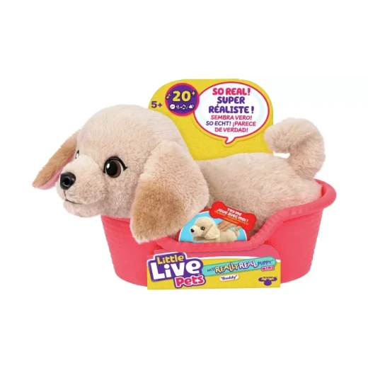 Little Live Pets My Really Real Puppy Mini – Buddy, an interactive and realistic puppy toy featuring adorable movements and sounds, designed to inspire imaginative play and a fun pet-care experience for kids - Little Live Pets - Image 2