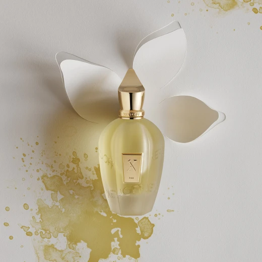Xerjoff P.33 Blank Page Parfum 100ml Woody & Fresh Fragrance for Men & Women - Xerjoff - Image 2