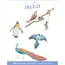 Reading Tree Beginner: Birds Story Book for Early Readers, Engaging Animal Stories with Simple Language, Part of the Reading Tree Learning Series