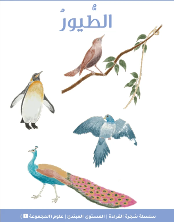 Reading Tree Beginner: Birds Story Book for Early Readers, Engaging Animal Stories with Simple Language, Part of the Reading Tree Learning Series