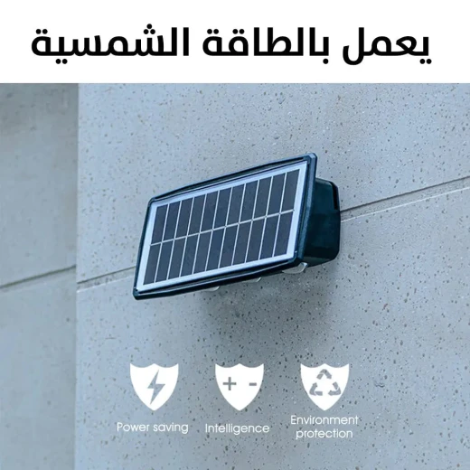مصباح حائط شمسي مزخرف BD-4/6/8 - تصميم صحراوي، موفر للطاقة مصباح حائط شمسي مزخرف BD-4/6/8 - تصميم صحراوي، موفر للطاقة