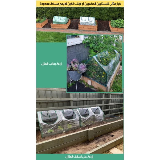 Garden Greenhouse Plastic Plant Shelter for Outdoor Gardening with Optimal Light & Humidity Control 2024 Edition. Ideal for Home Gardens and Small Farms, Easy Setup - Image 7