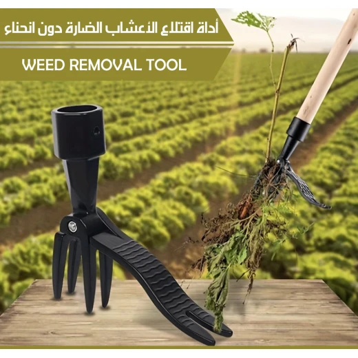 أداة إزالة الأعشاب الضارة بمقبض طويل أداة البستنة - Image 3