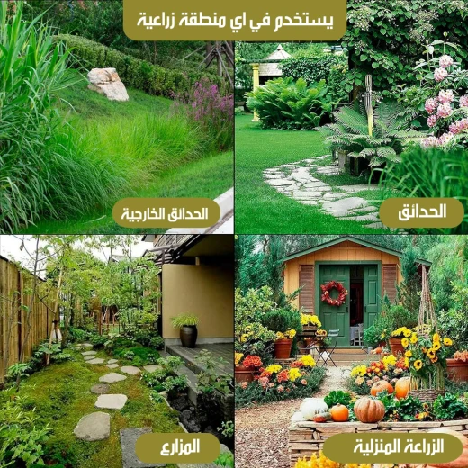أداة إزالة الأعشاب الضارة بمقبض طويل أداة البستنة - Image 7