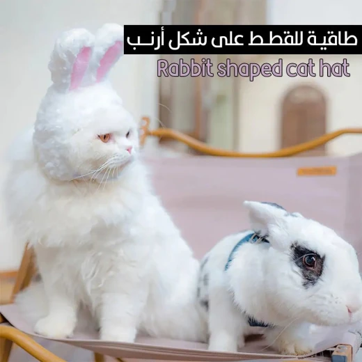 قبعة قط على شكل أرنب: زي رائع لصديقك القط قبعة قط على شكل أرنب: زي رائع لصديقك القط
