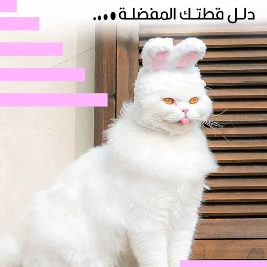قبعة قط على شكل أرنب: زي رائع لصديقك القط - Image 2