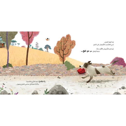 طربوش جدي - دار السلوى - Image 2