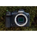Canon EOS R7 Mirrorless Camera (Body Only) - Canon
