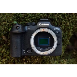 Canon EOS R7 Mirrorless Camera (Body Only) 