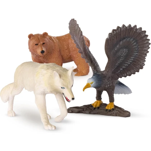 TERRA, Forest Animals Toy Set Wolf Bear Eagle Realistic Wildlife Animal Figures for Kids Educational Durable Plastic Miniature Forest Playset Age 3 and Up - Terra - Image 3