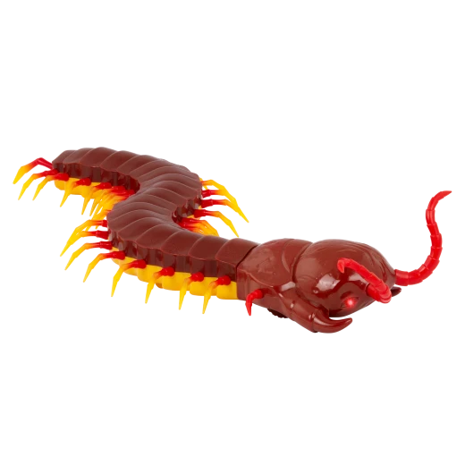 Terra, Giant Scolopendra Electronic RC Centipede Toy with LED Eyes Durable Design for Kids Ages 6+ Educational Insect Playset - Terra - Image 3