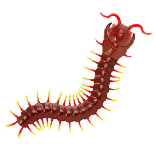 Terra, Giant Scolopendra Electronic RC Centipede Toy with LED Eyes Durable Design for Kids Ages 6+ Educational Insect Playset - Terra - Image 7